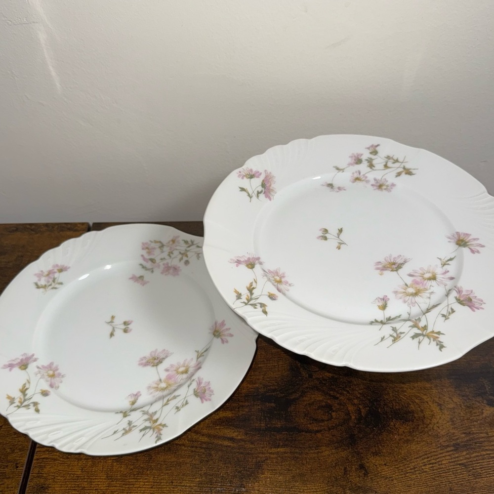2 - J. Pouyat Limoges Porcelain China Plates Haviland Made in France Daisy